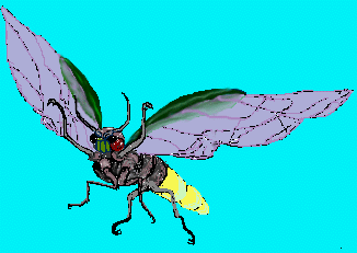 Firefly by Rainbow In The 
West